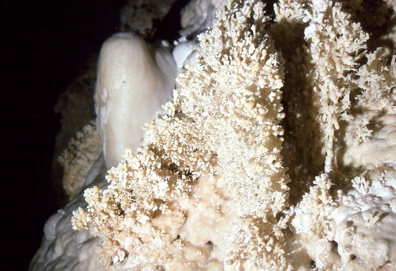 File:Aragonite stalagmite.jpg