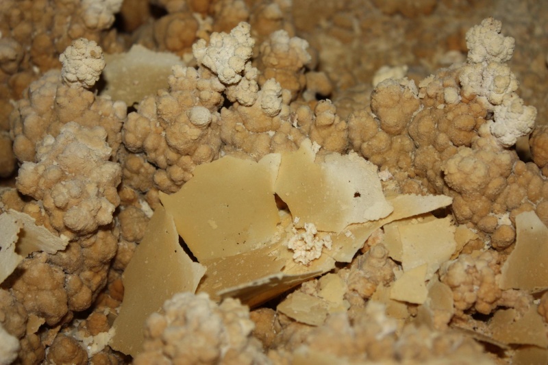 File:Calcite rafts in a dry pool.JPG