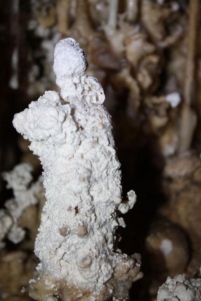 File:Moonmilk stalagmite.jpg