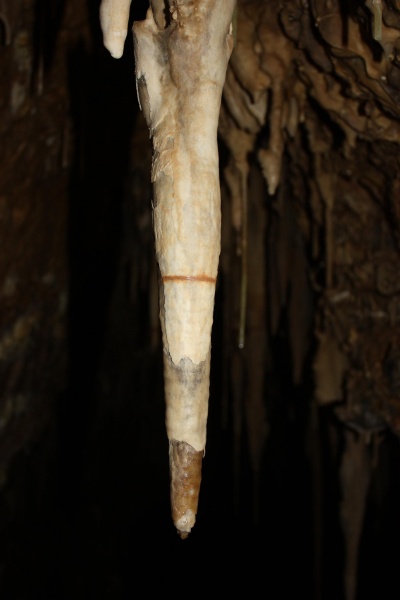 File:Waterline on stalactite.JPG