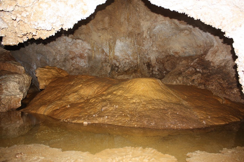 File:Pool and flowstone in C-23.JPG