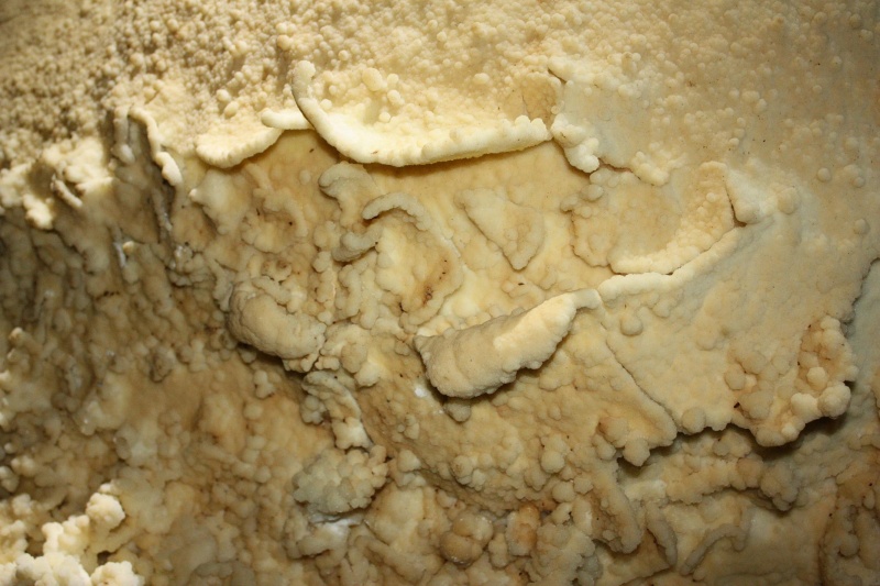 File:Calcite crust.jpg